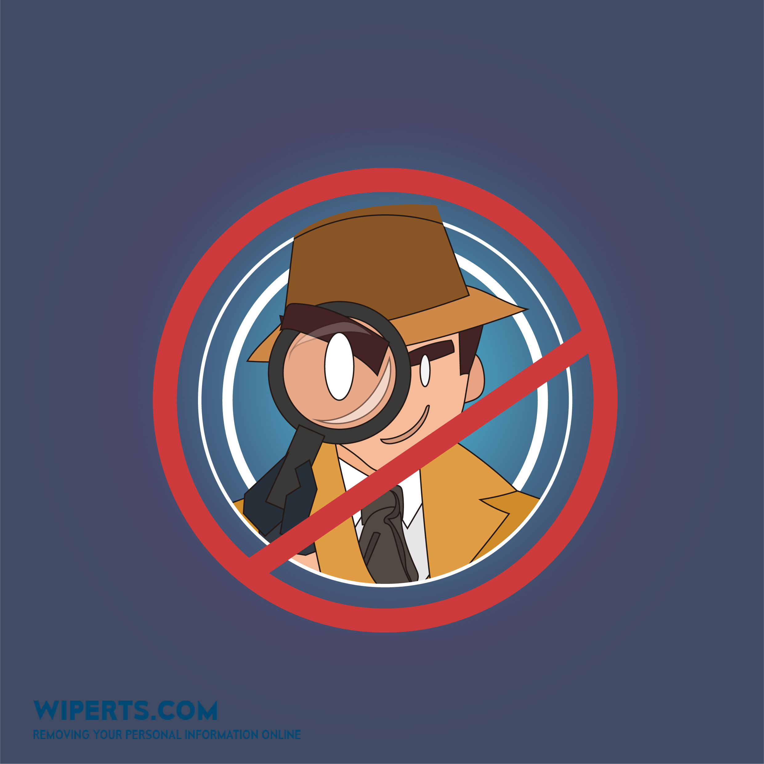 Why Removing Your Personal Information Online Can Avoid Scammers